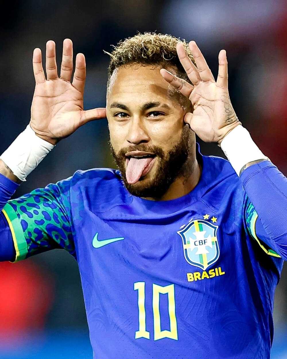 累计的两张 累计的两张